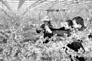 res01_attpic_brief (2).jpg