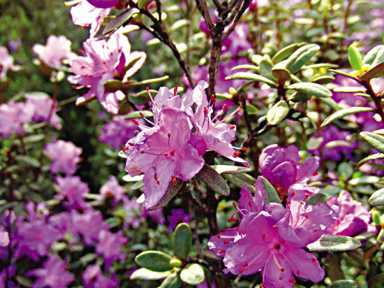 res09_attpic_brief (1).jpg