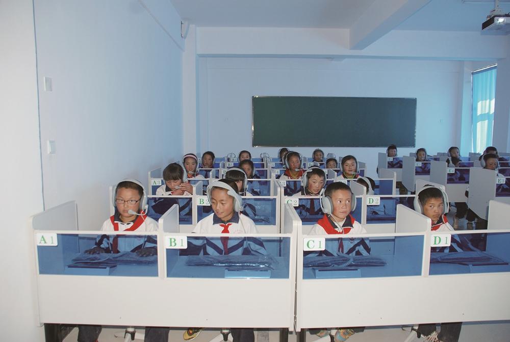 1653274561424930.jpg 2.jpg