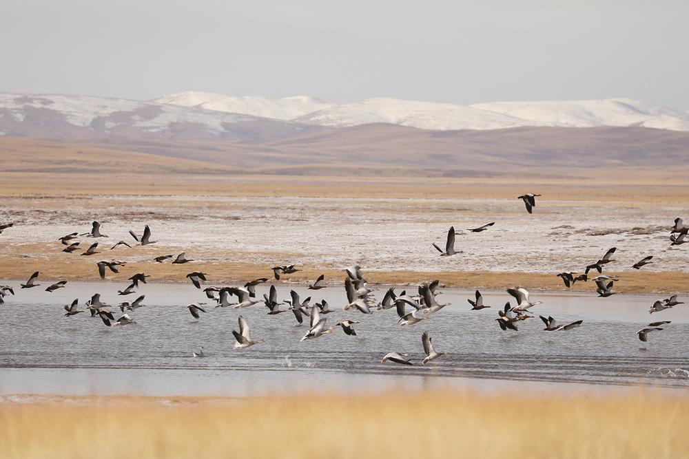 1653274566791677.jpg 3.jpg