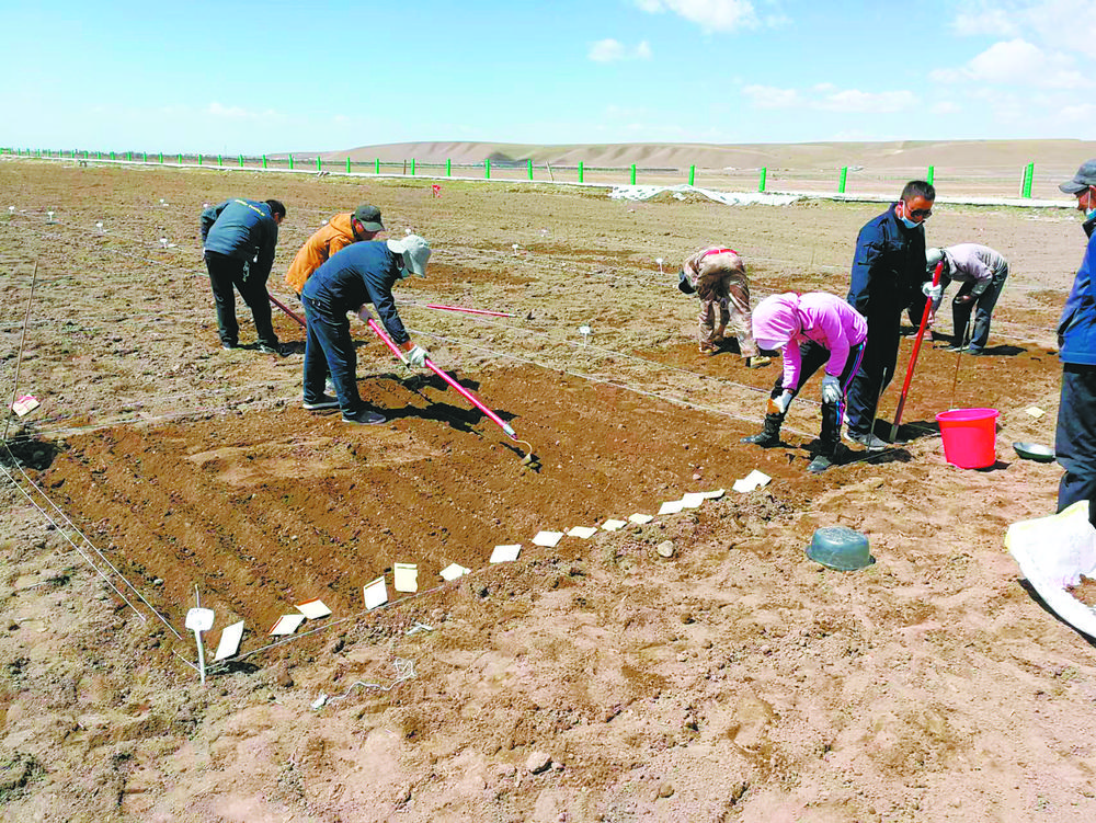 1653529487130173.jpg 1.jpg