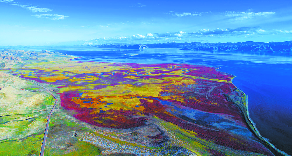 1654389130649360.jpg 01.jpg