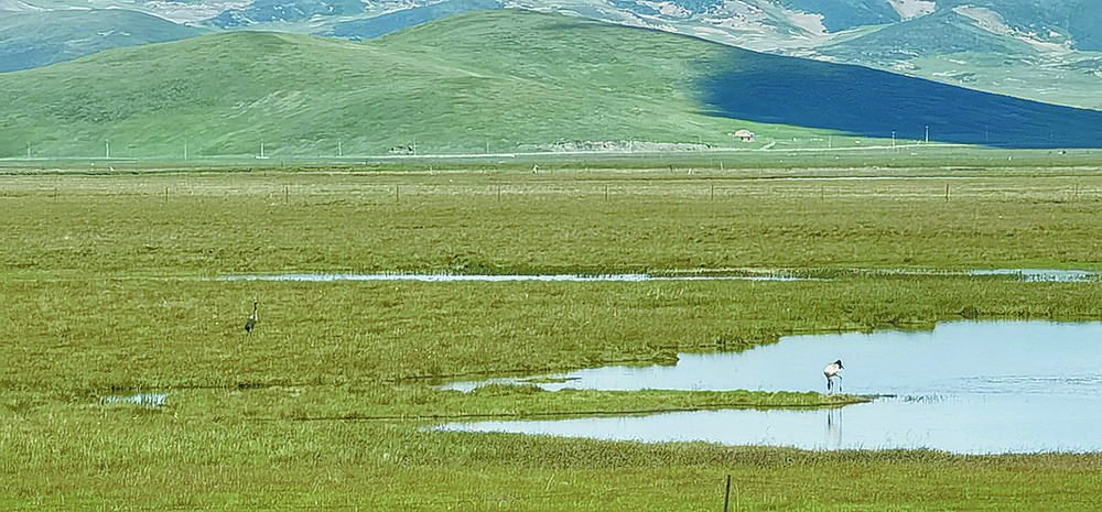 1654825113113516.jpg 1.jpg