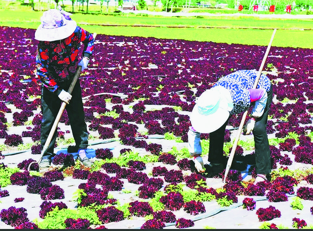 1705889668883108.jpg 5.jpg