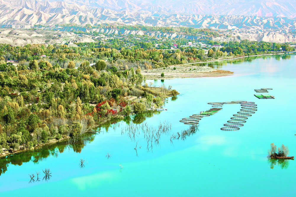 1706149473480961.jpg 1.jpg