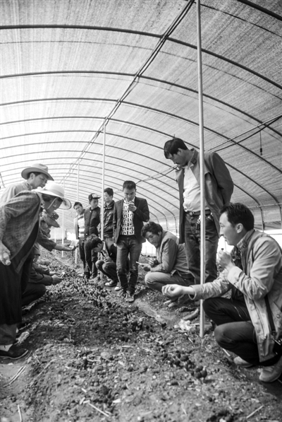 res04_attpic_brief (3).jpg