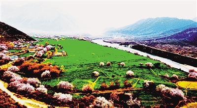 res01_attpic_brief (2).jpg