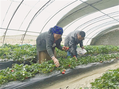 res01_attpic_brief (6).jpg