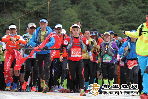 1463969403907576.jpg d.jpg