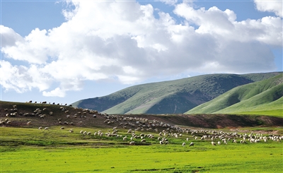 1484876845214768.jpg res01_attpic_brief (2).jpg