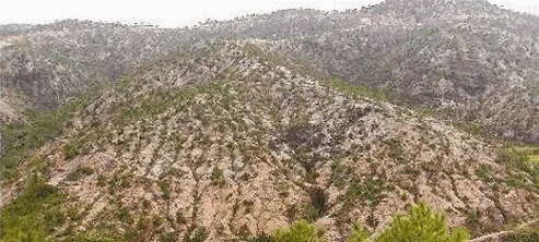 1458786310443259.gif 5.gif