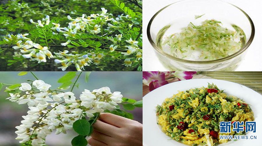 1458699264669061.jpg 1.jpg