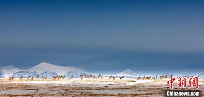 27人非法穿越青?？煽晌骼锉徊? oldsrc=