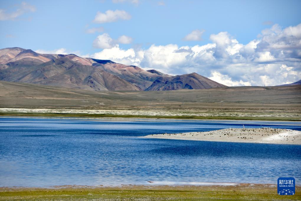 1693358155369143.jpg 3.jpg