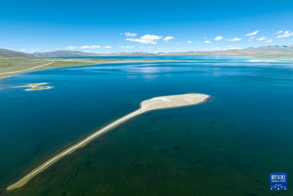 1693358163538588.jpg 4.jpg