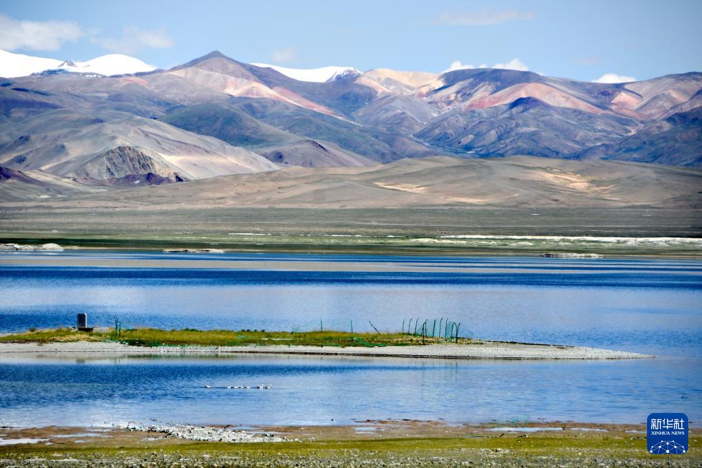 1693358169438313.jpg 5.jpg