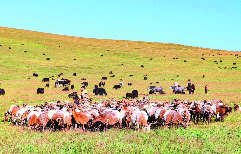 1706404284843382.jpg ca5f99ea-e78d-4a38-883f-31a0684d7bcb.tif.jpg