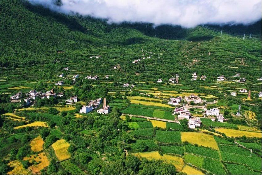 綠色丹巴。丹巴縣委宣傳部供圖