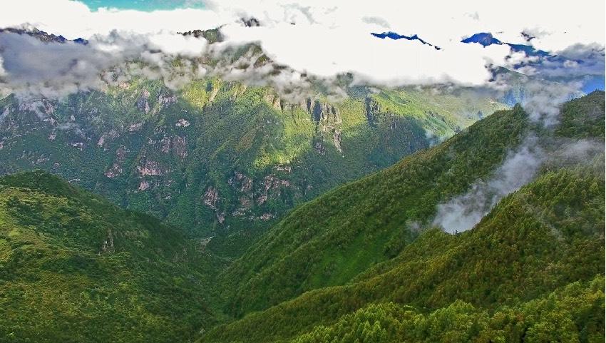 丹巴縣牦牛谷省級(jí)森林公園風(fēng)光。丹巴縣委宣傳部供圖