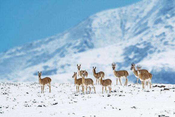 QQ截圖20240520073038