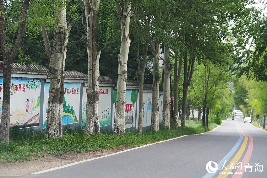 大通縣上廟村整齊潔凈。人民網(wǎng) 陳明菊攝