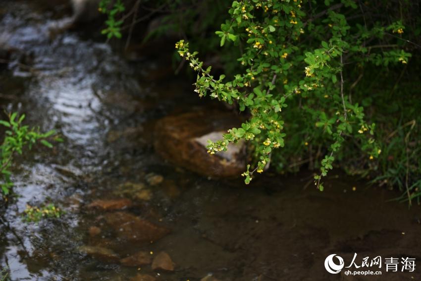 山水大通。人民網(wǎng) 陳明菊攝