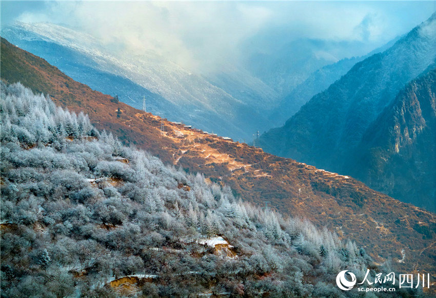 原馳蠟象，欲與天公試比高。胡宇攝