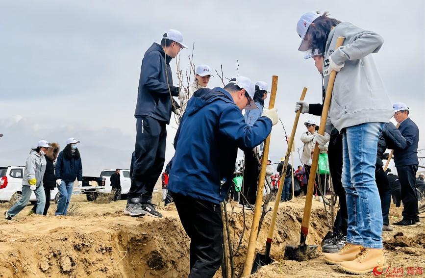 植樹活動現(xiàn)場。人民網(wǎng) 顧斐菲攝