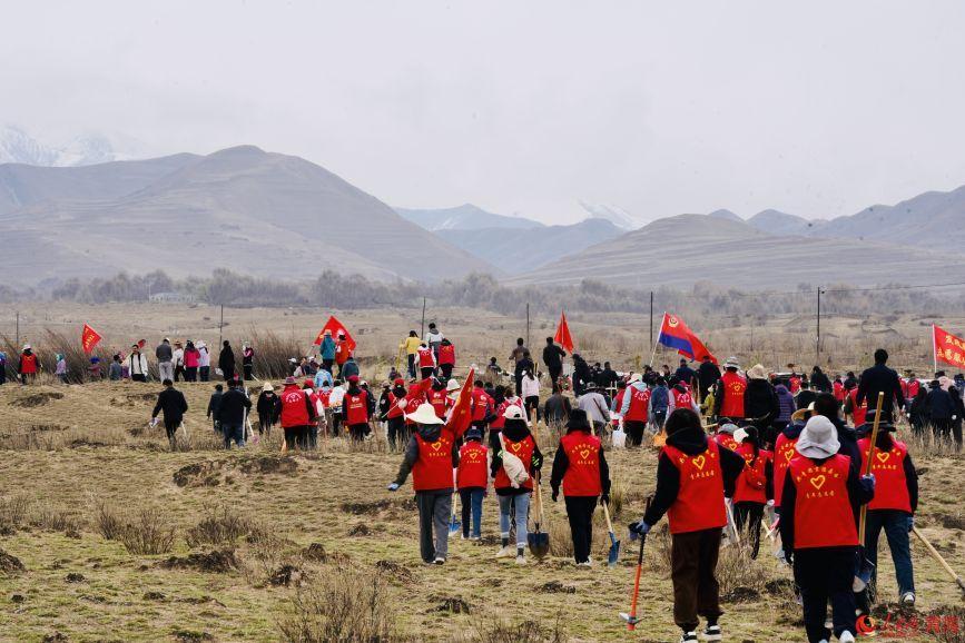 植樹活動現(xiàn)場。人民網(wǎng) 顧斐菲攝