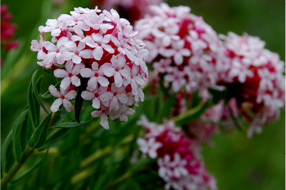 1476084284359722.jpg 718e25c7986f5d90d10060bb.jpg