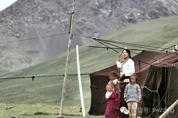 1477532401926748.jpg 122.JPG