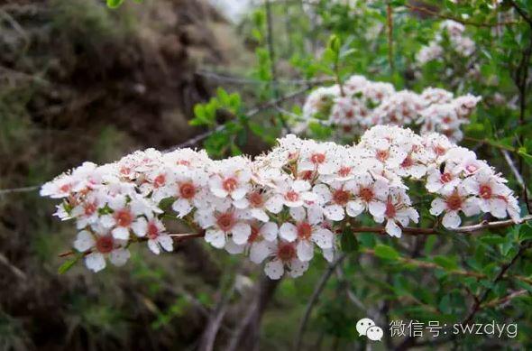 1477532493200328.jpg 141.JPG