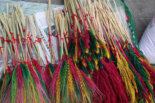  藏族特色新年習(xí)俗 藏族新年活動(dòng)