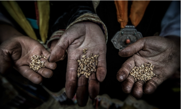 1557729579971834.png 1.png