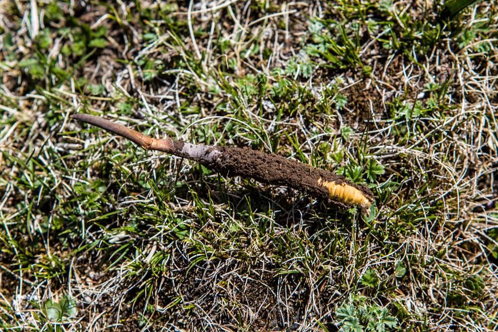 1558934167140796.jpg 1.jpg