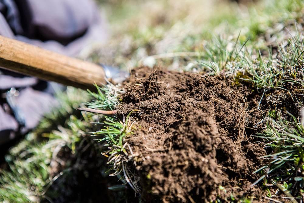 1558934176522312.jpg 2.jpg