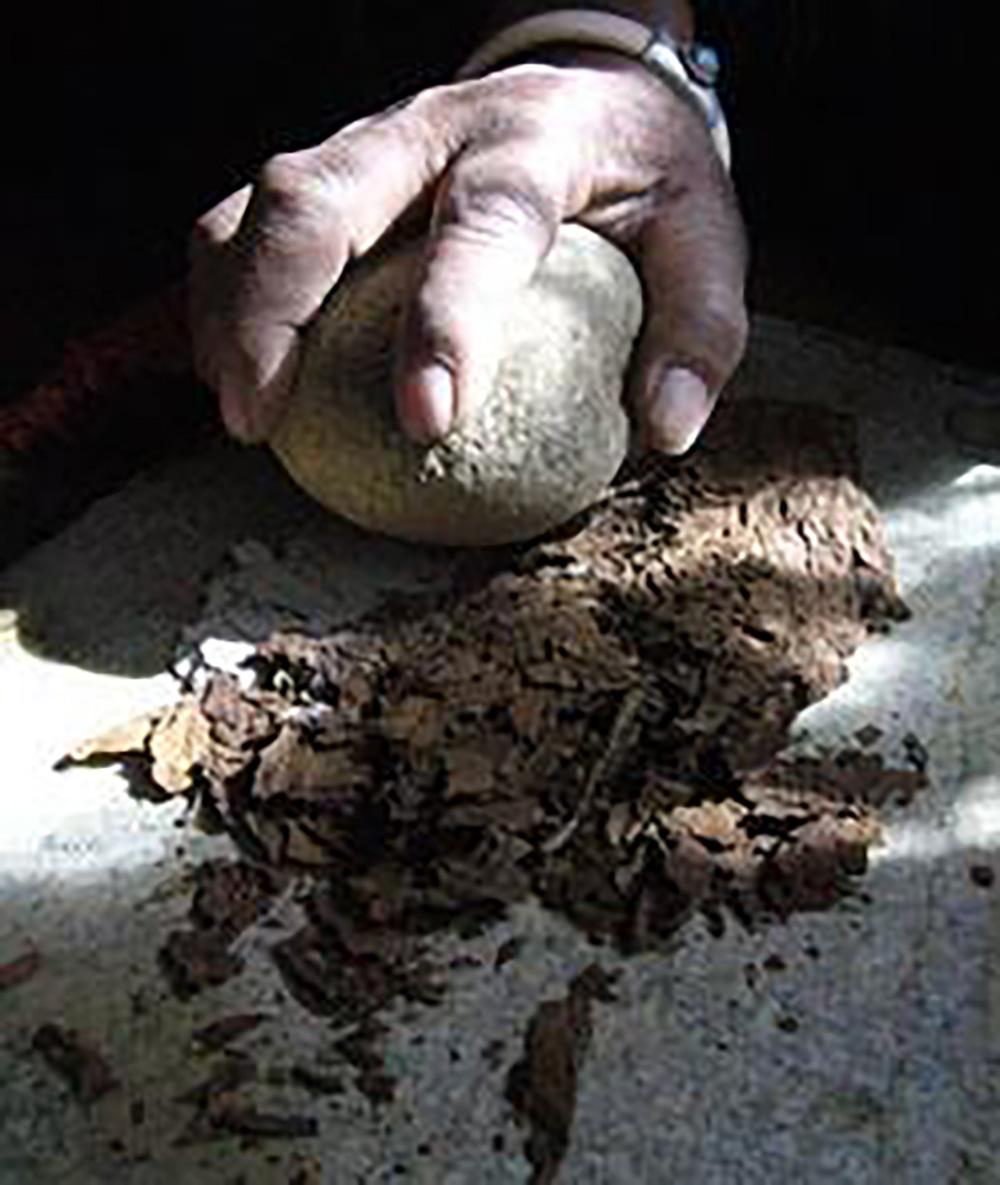 藏族在凹形青石板上磨制鼻咽。（張國華  供稿）timg(1).jpg