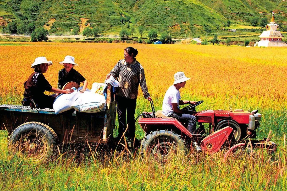 1546348515444691.jpg 42.jpg