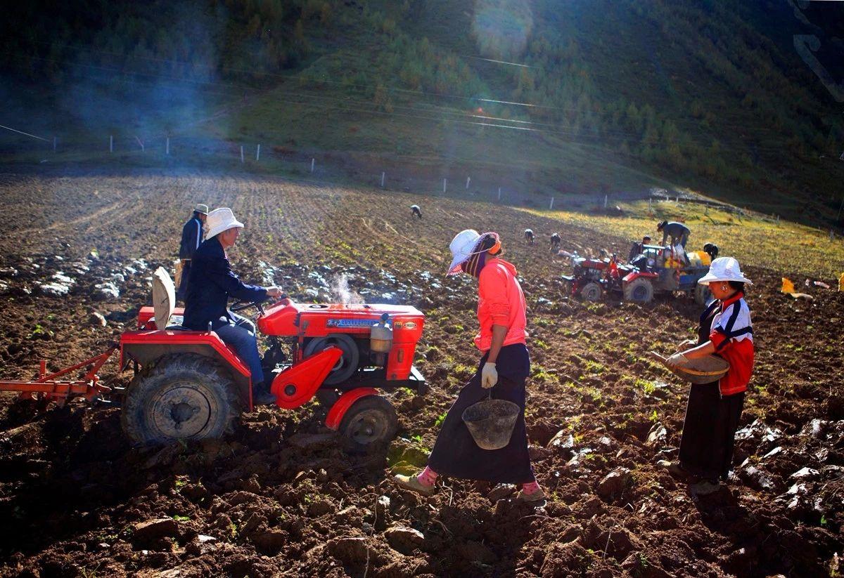 1546349087879275.jpg 69.jpg