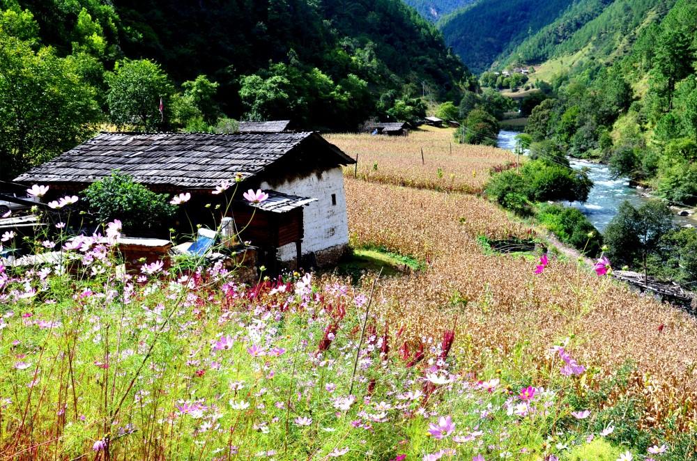 作者的家鄉(xiāng)尼汝普拉村。張國(guó)華 攝 106_.jpg