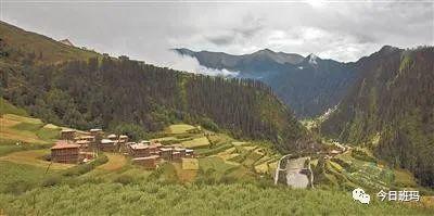 1583034458670172.jpg 1.jpg