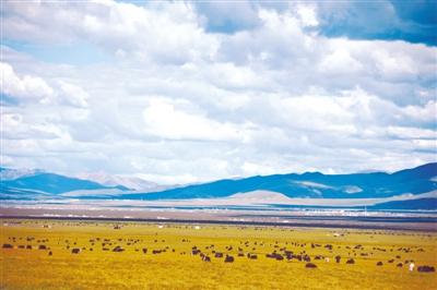 res01_attpic_brief (5).jpg