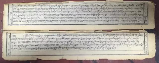 1491800555136311.jpg 8.jpg