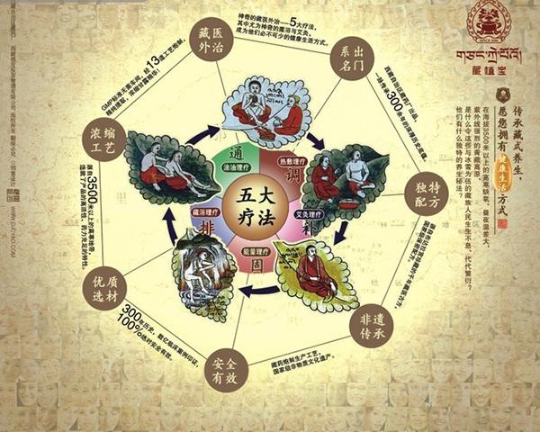 藏醫(yī)治療學(xué) 藏醫(yī)藥理療法